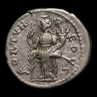 Rome, Emperor Septimius Severus, AR Denarius, Fortuna or Hilaritas - 194 to 195 CE - Roman Empire