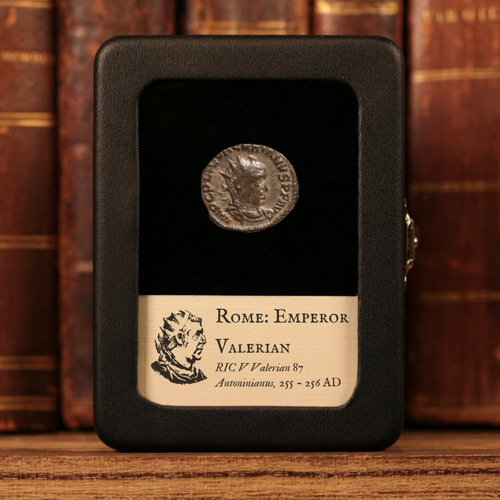 Rome, Emperor Valerian, AR Antoninianus, Felicitas (Divine Productivity) - 255 to 256 CE - Roman Empire