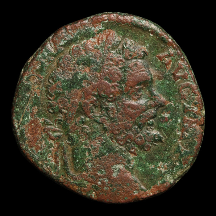 Rome, Septimius Severus, Large AE Sestertius, Two Captives Reverse - 195 CE - Roman Empire