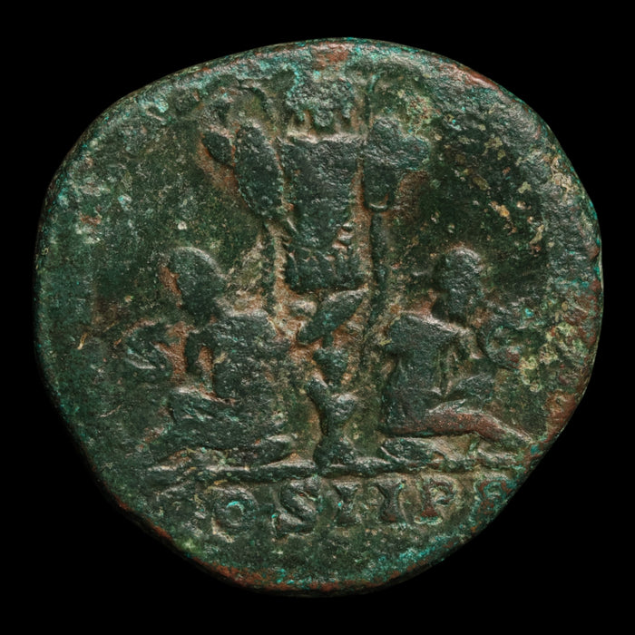 Rome, Septimius Severus, Large AE Sestertius, Two Captives Reverse - 195 CE - Roman Empire