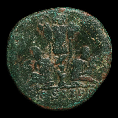 Rome, Septimius Severus, Large AE Sestertius, Two Captives Reverse - 195 CE - Roman Empire