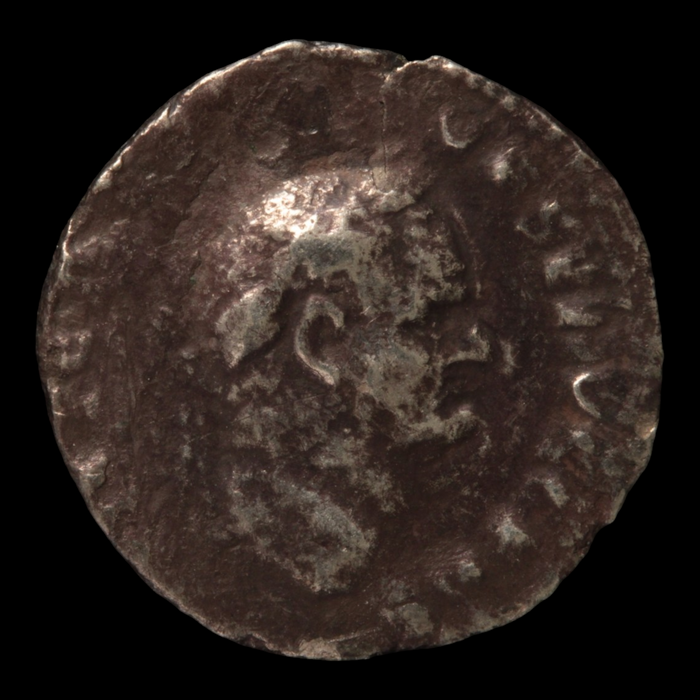 Rome, Vespasian, Denarius, Salus Reverse - 73 CE - Roman Empire