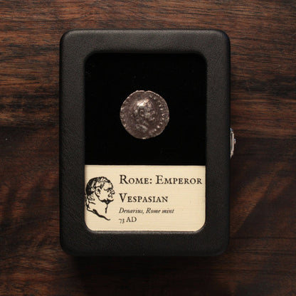Rome, Vespasian, Denarius, Salus Reverse - 73 CE - Roman Empire