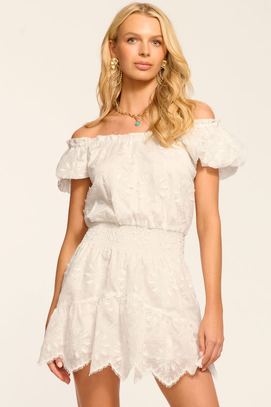Verona Embroidered Organza Mini Dress