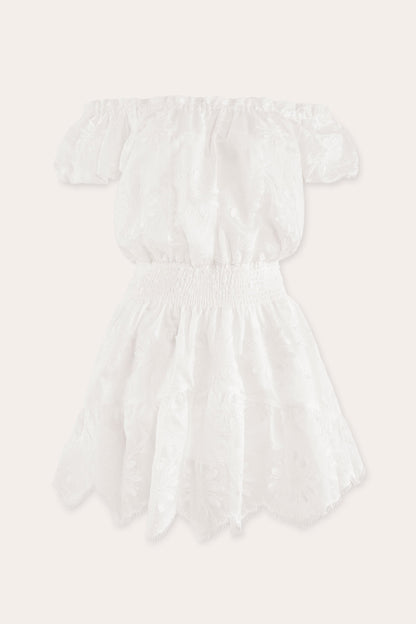 Verona Embroidered Organza Mini Dress