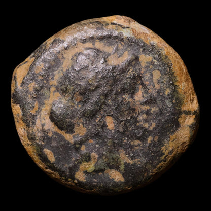 Seleucid Empire, King Antiochus IX, AE Unit, Artemis (Goddess of the Hunt) - 113 to 96 BCE - Greek World