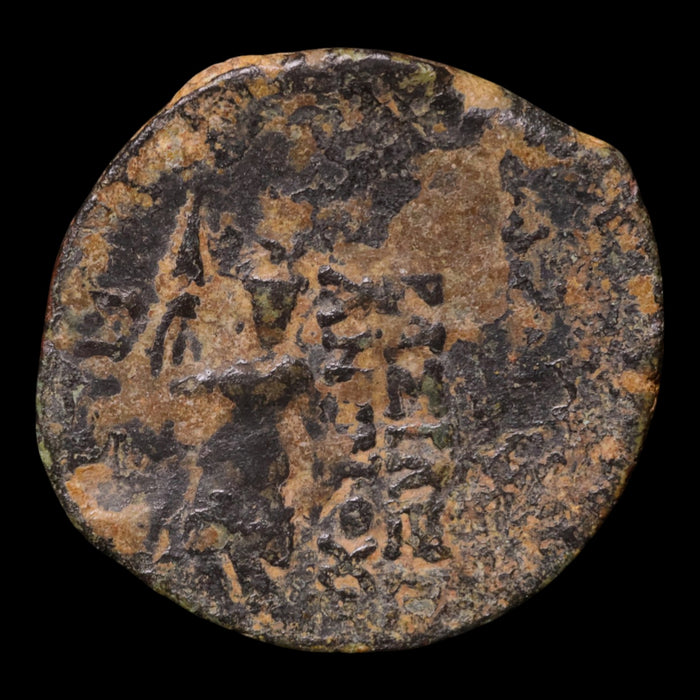 Seleucid Empire, King Antiochus IX, AE Unit, Artemis (Goddess of the Hunt) - 113 to 96 BCE - Greek World
