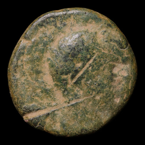 Seleucid Empire, King Seleucus I, AE Unit, Athena & Bull - 300 to 295 BCE - Greek World