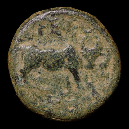 Seleucid Empire, King Seleucus I, AE Unit, Athena & Bull - 300 to 295 BCE - Greek World