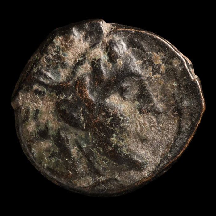 Seleucid Empire, King Seleucus I Nicator, Bronze Unit, Medusa - c. 300 to 281 BCE - Greek World