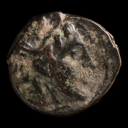 Seleucid Empire, King Seleucus I Nicator, Bronze Unit, Medusa - c. 300 to 281 BCE - Greek World