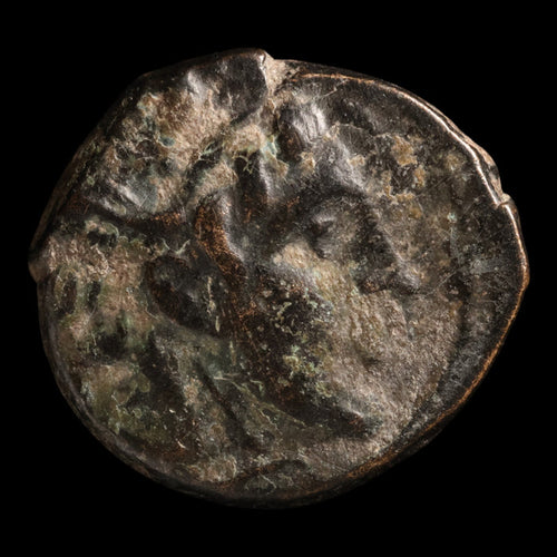 Seleucid Empire, King Seleucus I Nicator, Bronze Unit, Medusa - c. 300 to 281 BCE - Greek World
