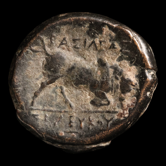 Seleucid Empire, King Seleucus I Nicator, Bronze Unit, Medusa - c. 300 to 281 BCE - Greek World