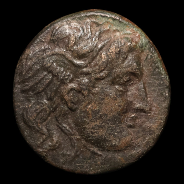 Seleucid Empire, Seleucus I Nicator, AE Unit, Medusa & Bull - 282 to 281 BCE - Greek World