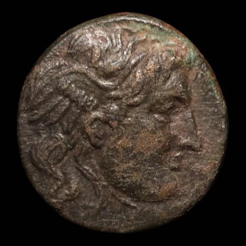 Seleucid Empire, Seleucus I Nicator, AE Unit, Medusa & Bull - 282 to 281 BCE - Greek World