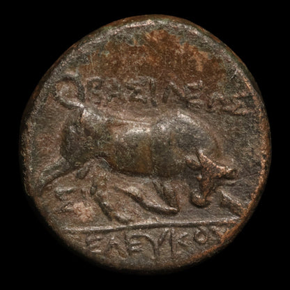 Seleucid Empire, Seleucus I Nicator, AE Unit, Medusa & Bull - 282 to 281 BCE - Greek World