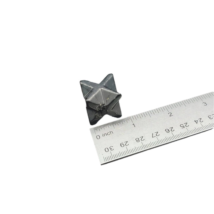 Black Merkebah and a ruler to show size