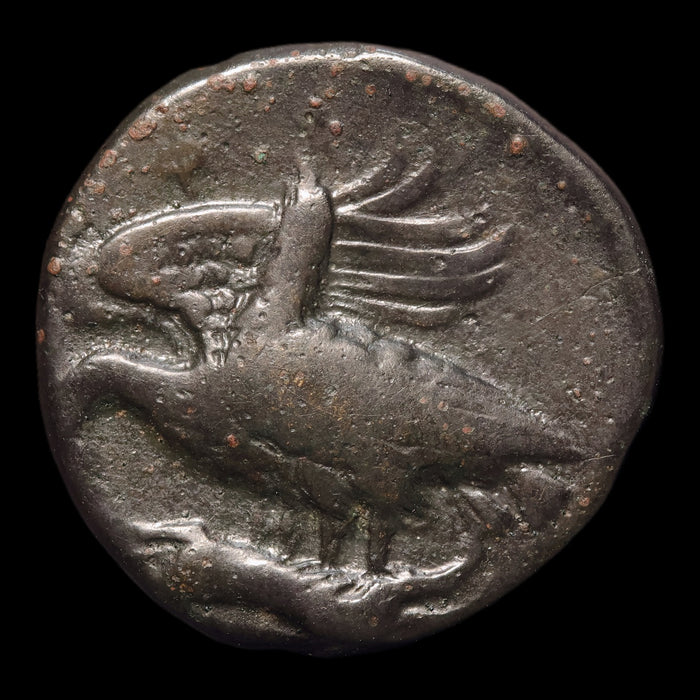 reverse