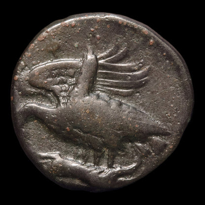 reverse