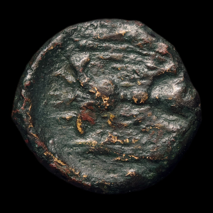 reverse