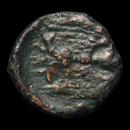 reverse