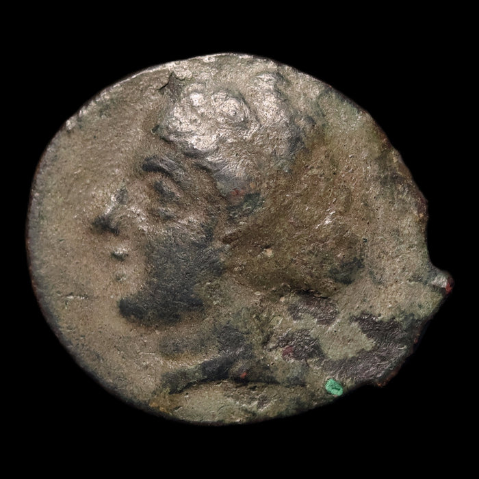reverse