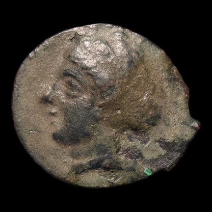 reverse