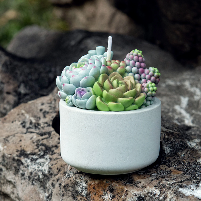 Succulent Candle In Pot