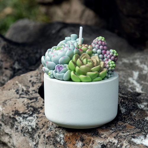Succulent Candle In Pot