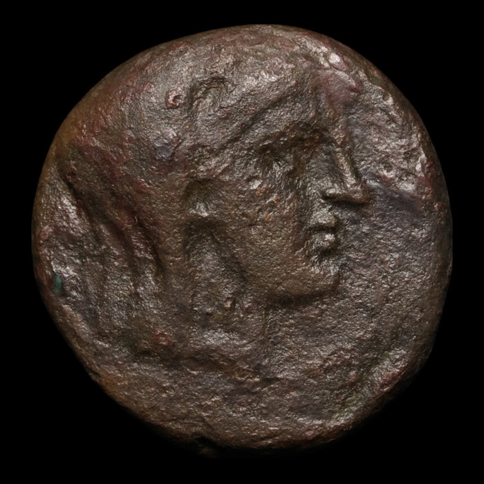 Thessaly, City States of Pelinna, AE Unit, Mantho & Horseman - 300 to 200 BCE - Ancient Greece