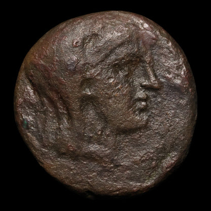 Thessaly, City States of Pelinna, AE Unit, Mantho & Horseman - 300 to 200 BCE - Ancient Greece