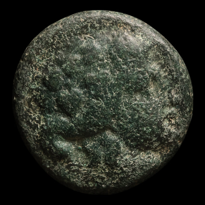 Thrace, City of Maroneia, Bronze Unit, Dionysus (Greek God of Wine) - c. 200 to 100 BCE - Greek World
