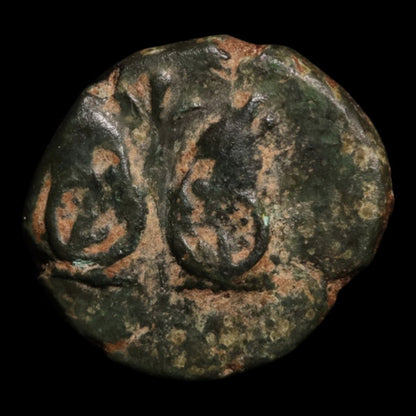 Troas, City of Cebren, AE Unit, Ram's Heads & Monogram - c. 300 to 400 BCE - Greek World