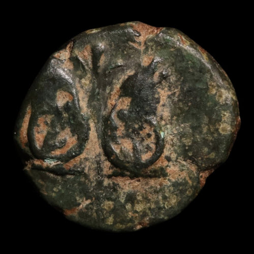 Troas, City of Cebren, AE Unit, Ram's Heads & Monogram - c. 300 to 400 BCE - Greek World