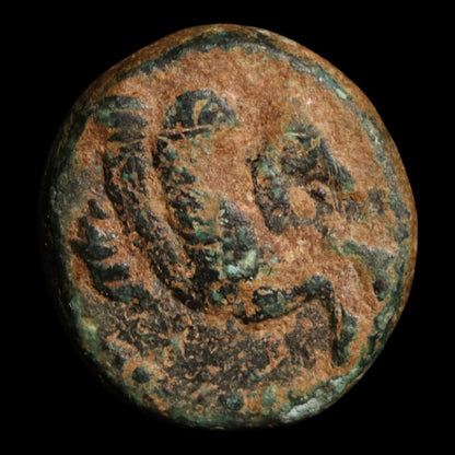 Troas, City of Skepsis, AE Unit, Pegasus & Fir Tree - c. 400 to 300 BCE - Greek World