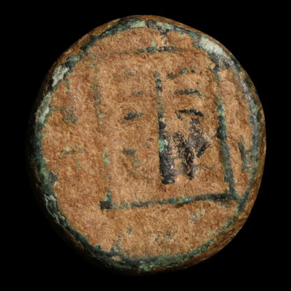 Troas, City of Skepsis, AE Unit, Pegasus & Fir Tree - c. 400 to 300 BCE - Greek World