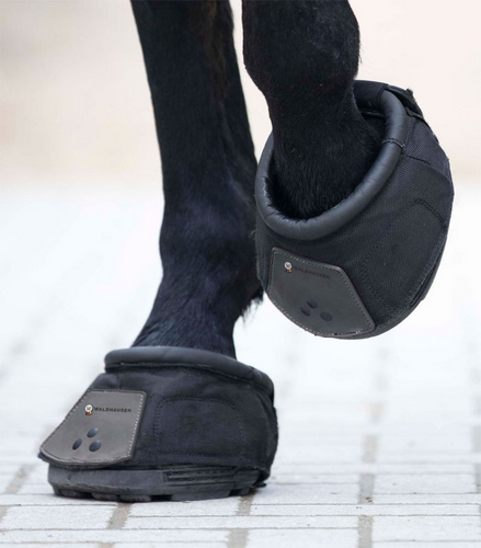 Waldhausen Hoof Boot